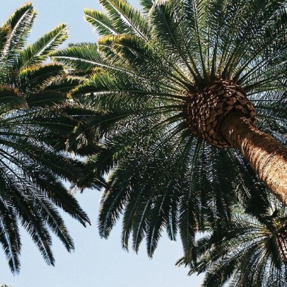 Meet your Posher, A - Picture 1 of 1